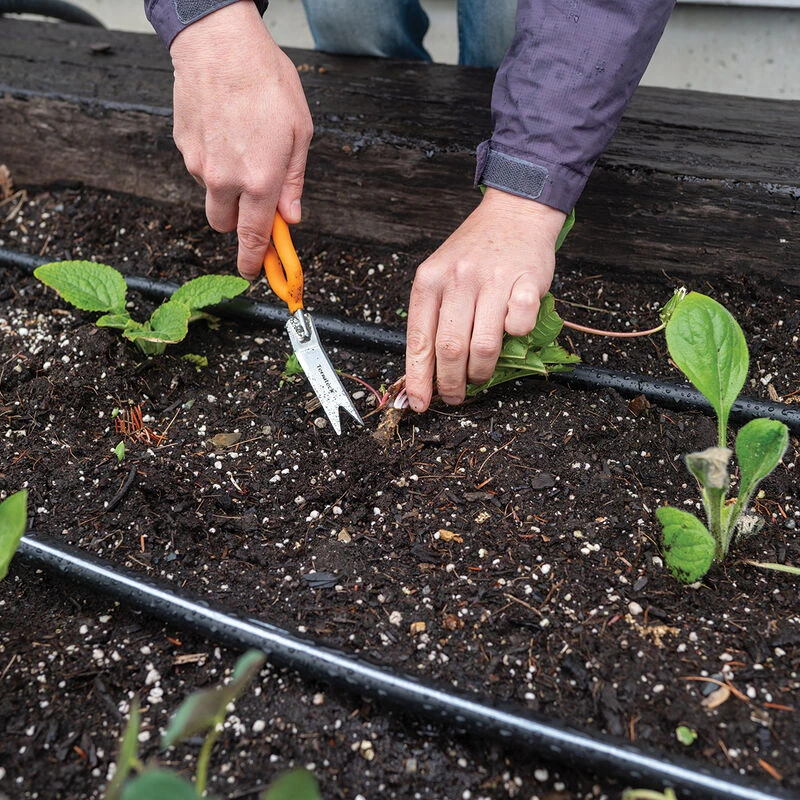 Nifty Weeder – N504