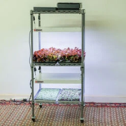 Johnny's Modular LED Grow Light Cart