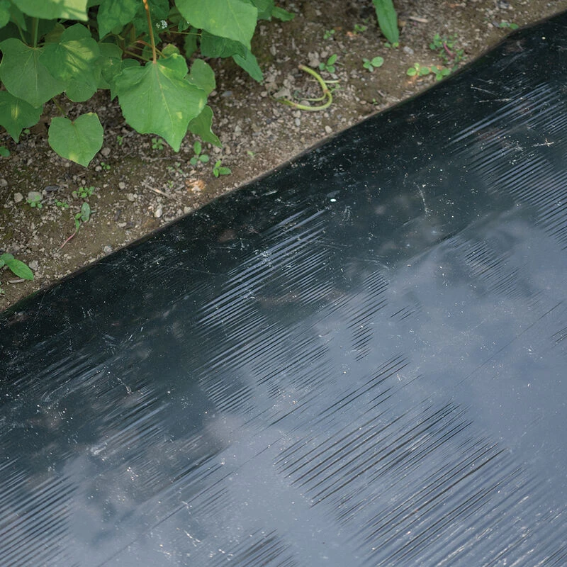 Solar Shrink β 48" X 2,500'