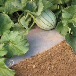 WeedGuardPlus® Paper Mulch – 48" X 100'