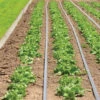 Johnny's Drip Irrigation Kit – 1,000'