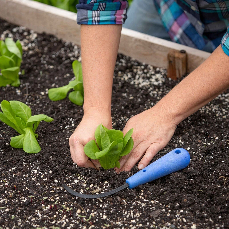 CobraHead® – Mini - Image 2