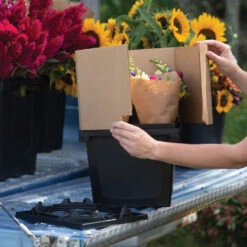 Florida Collar – 9"