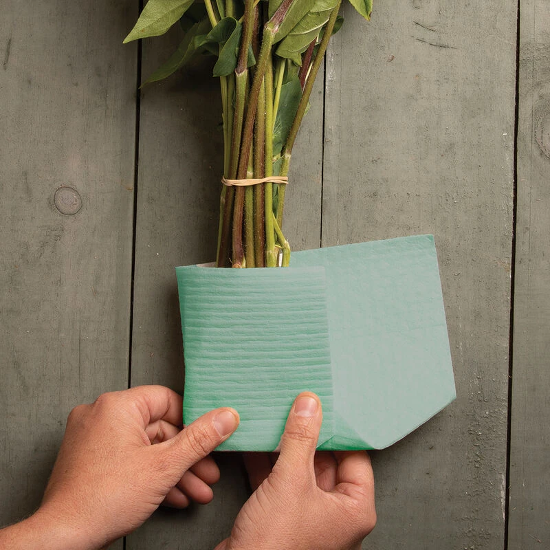 Eco-Wraps™ – S - Image 3