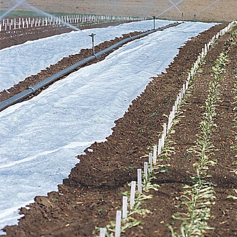 Agribon+ AG-19 – 30' X 100'