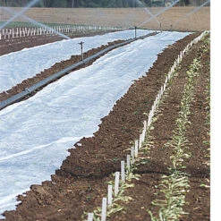 Agribon+ AG-19 – 83" X 250'