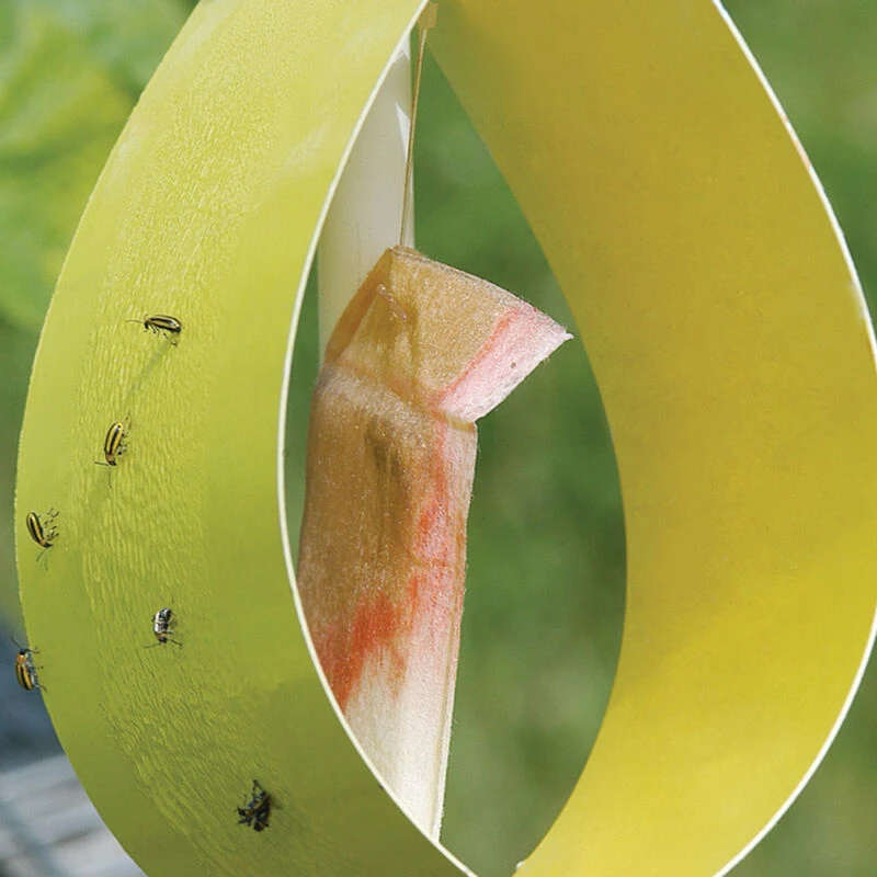 Sticky Yellow Traps โ 5 Count