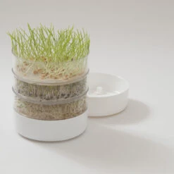 Bioset Germinator Kit