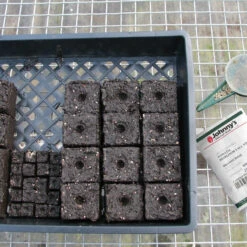 Soil Block Propagation Trays – 5 Count