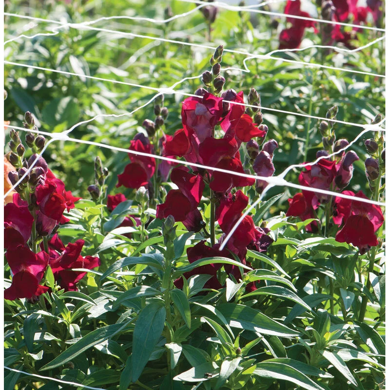 Hortonova FA – 48" X 3,280' - Image 2